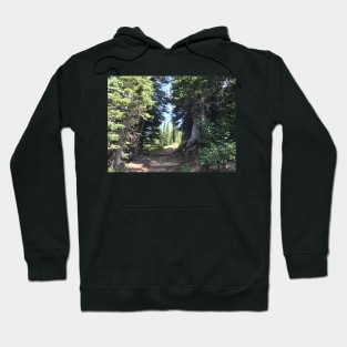 Trail up the Mountain Hoodie